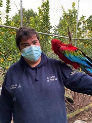 zoo parrot